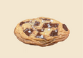 Chocolate Chip Cookie